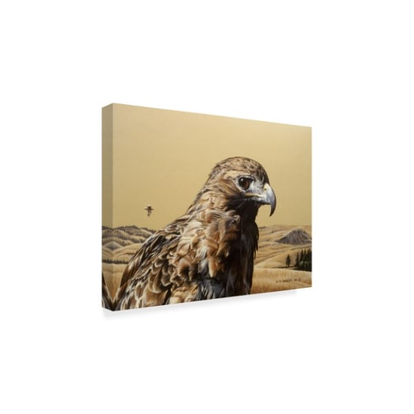 Ron Parker 'Red Tailed Hawk' Canvas Art,35x47